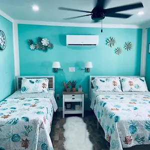 Apartment Beautiful And Comfortable Rom # 2, Tampa